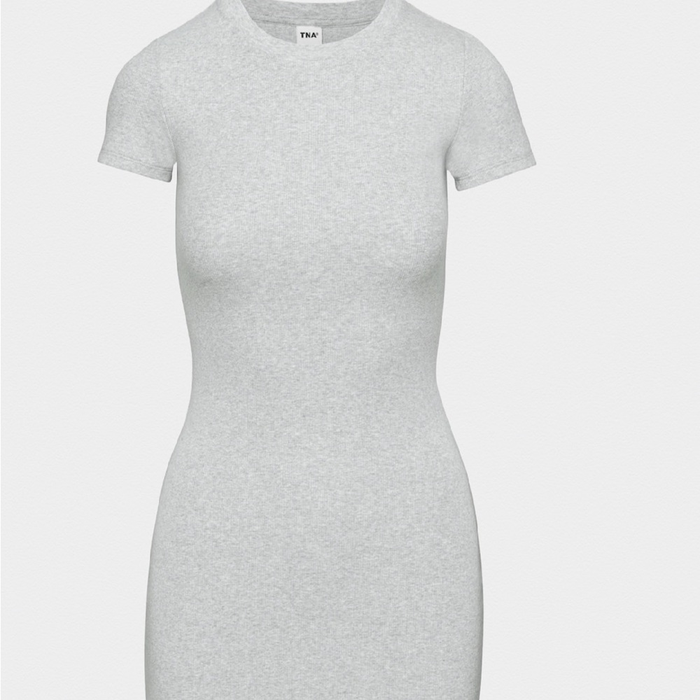 Aritzia Wilfred Free Dress